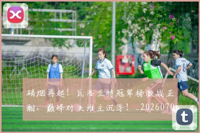 硝烟再起！瓦洛兰特冠军榜激战正酣，巅峰对决谁主沉浮！_20260708194725