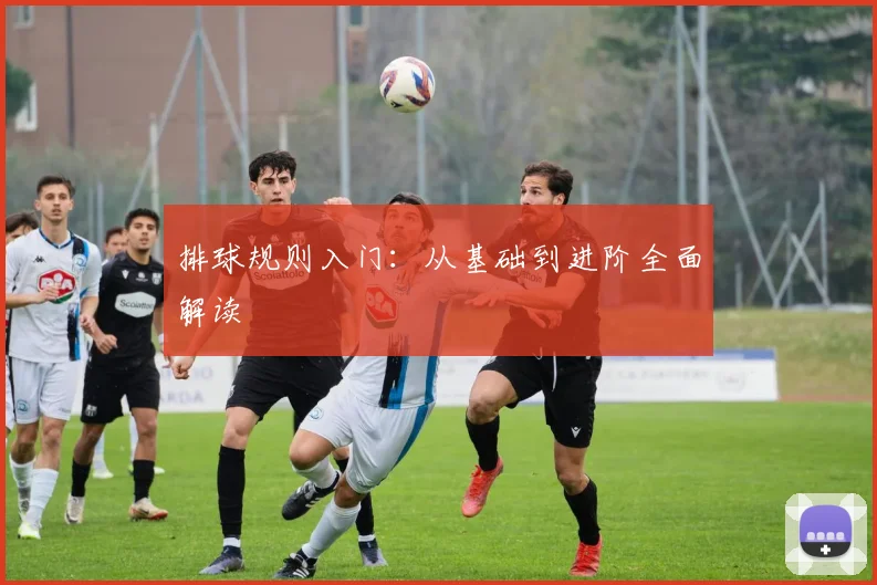 排球规则入门：从基础到进阶全面解读